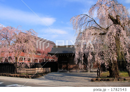 桜満開の角館武家屋敷 桜満開の角館武家屋敷 1782543