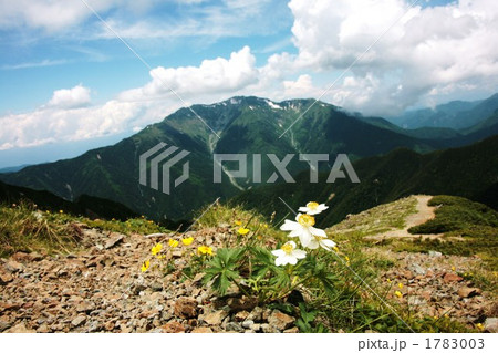 仙丈ヶ岳　3033m 1783003