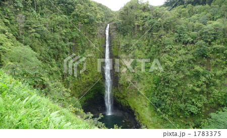 ハワイ島のアカカの滝 ハワイ島のアカカの滝 1783375