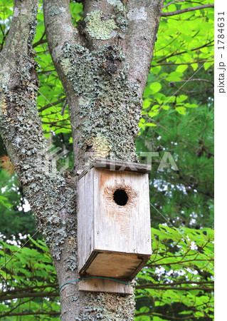 巣箱　すばこ 1784631