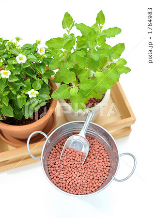 ロハスのガーデニングスタイル。 1784983