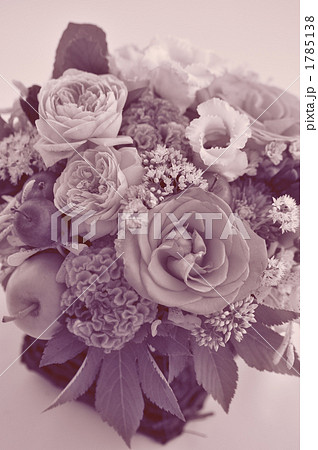 Rose Arrengement sepia 1785138