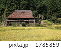 かやぶき古民家　秋の収穫 1785859