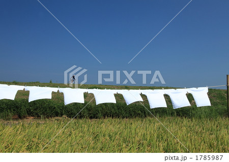 Ｔシャツとサイクリング 1785987