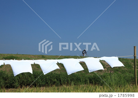 Tシャツとサイクリング Tシャツとサイクリング 1785998