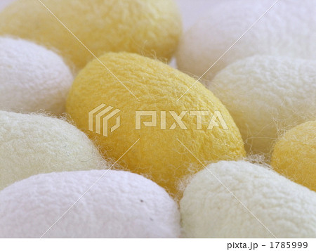 蚕の繭 蚕の繭 1785999