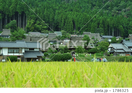 秋の美山町 1786325