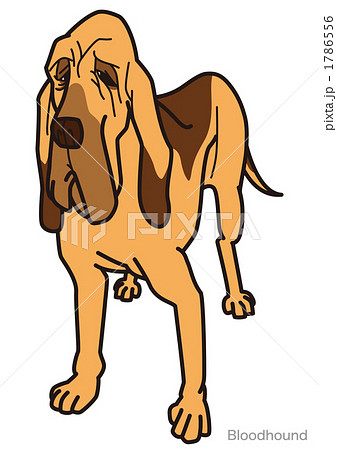 ブラッドハウンド02_100922 ブラッドハウンド02_100922 1786556