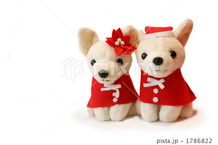 サンタチワワ サンタチワワ 1786822