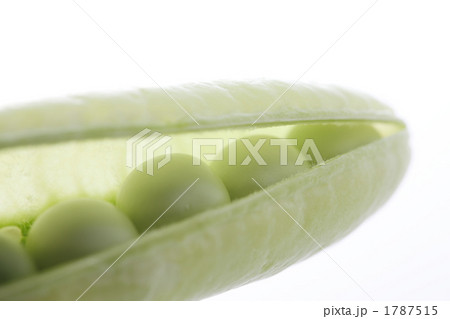 エンドウ豆 1787515