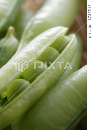 エンドウ豆 1787517