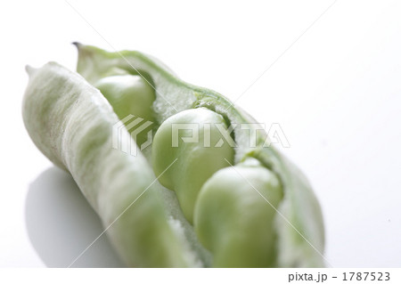 そら豆 1787523