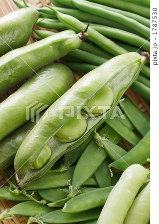 豆各種 豆各種 1787530