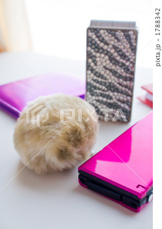 キラキラ女子携帯電話 1788342