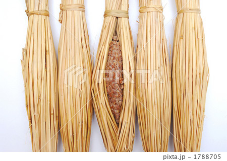 納豆 1788705