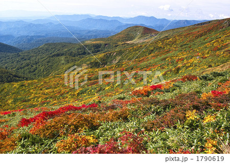 栗駒山の紅葉 1790619