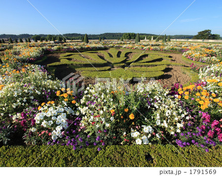 ヴェルサイユ宮殿の花壇 1791569