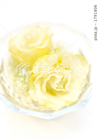 白いフラワーアレンジメント。 1791806