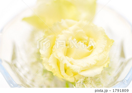 白いフラワーアレンジメント。 1791809