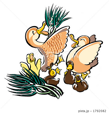 かるがもとネギ 1792082