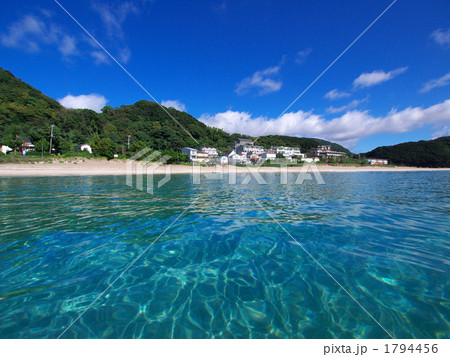 水中撮影　入田浜 1794456