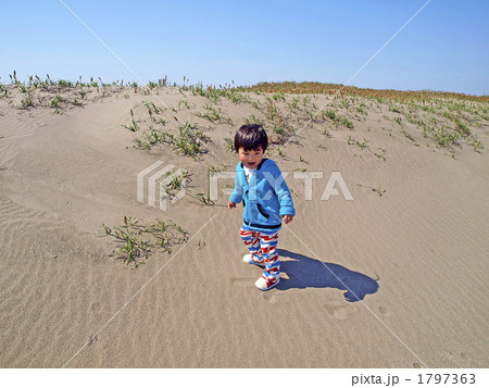 砂山の幼児 1797363