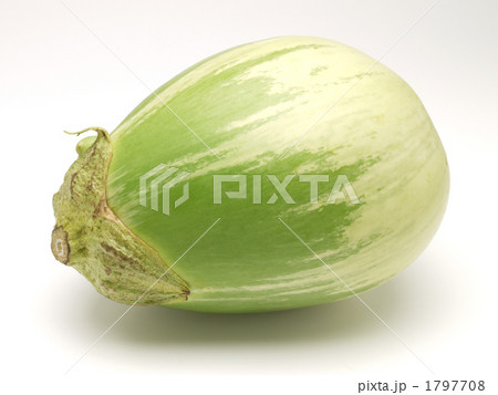 白茄子 1797708