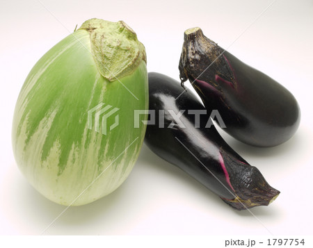 茄子と白茄子 茄子と白茄子 1797754