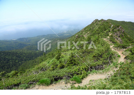 アポイ岳登山道 1797813