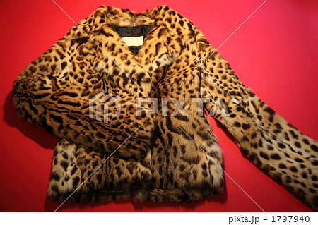 豹柄 豹柄 1797940