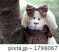 うさぎの女の子 1798067