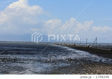 有明海の干潟 1799206
