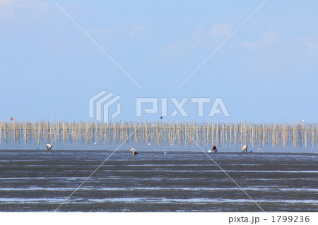 有明海の風景 1799236