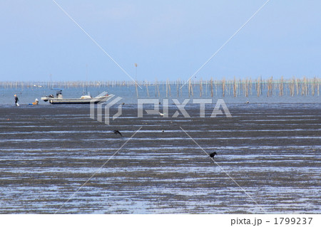 有明海の風景 1799237