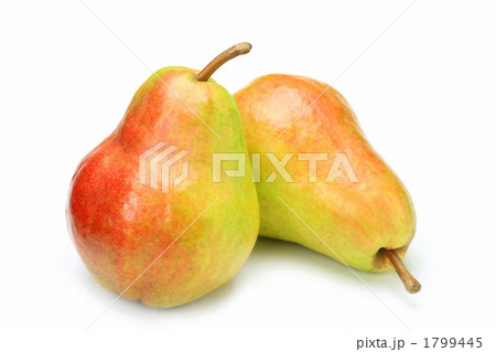 洋ナシ 洋ナシ 1799445