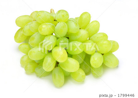 葡萄 1799446