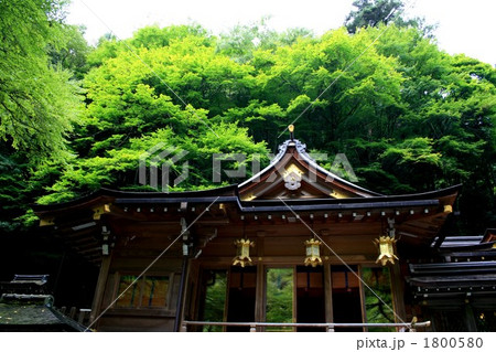 貴船神社と新緑 貴船神社と新緑 1800580
