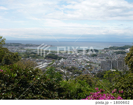 小和田湾 小和田湾 1800602