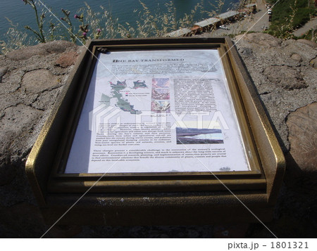 Golden Gate Bridge History 1801321