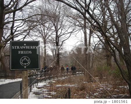 Strawberry Fields 1801561