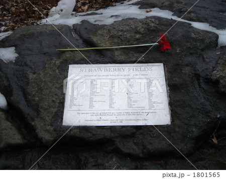 Strawberry Fields 1801565