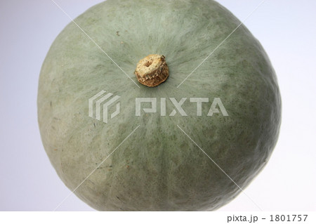 ユキゲショウ ユキゲショウ 1801757