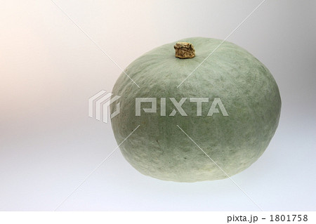 ユキゲショウ 1801758