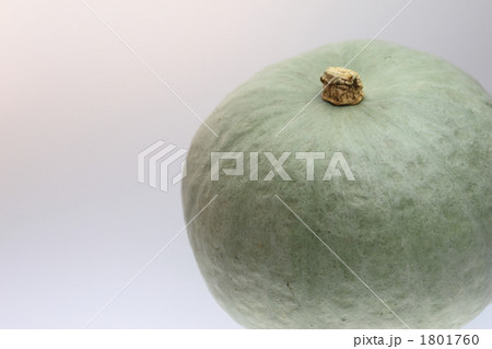 ユキゲショウ 1801760