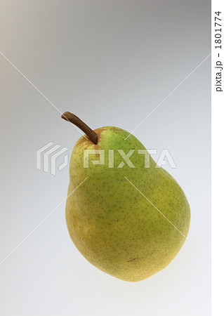 パートレット パートレット 1801774