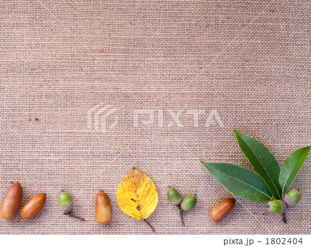 秋イメージのテクスチャ 秋イメージのテクスチャ 1802404