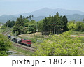 ED75が牽引する変圧器輸送の特大貨物列車 1802513