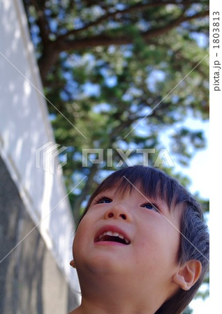 見上げてごらん 見上げてごらん 1803813