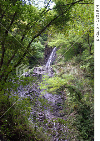 白猪の滝 1803974