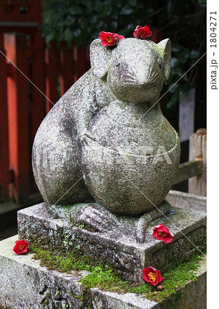 椿とコマネズミ 椿とコマネズミ 1804271